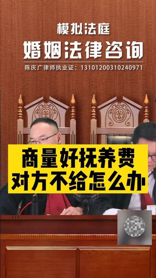 撫養(yǎng)費(fèi)協(xié)商后對(duì)方拒不支付，法律途徑如何維權(quán)？